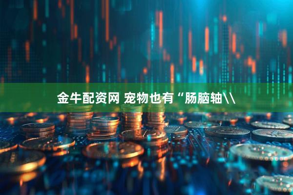 金牛配资网 宠物也有“肠脑轴\